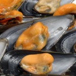 mejillones-al-vapor