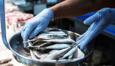 boquerones en la pescadería del mercado